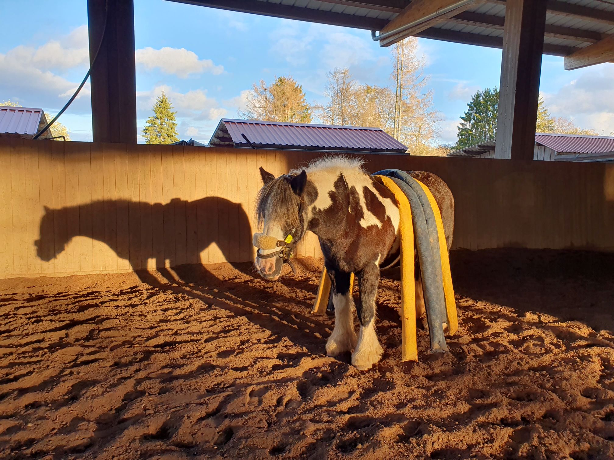 2023 11 November 582